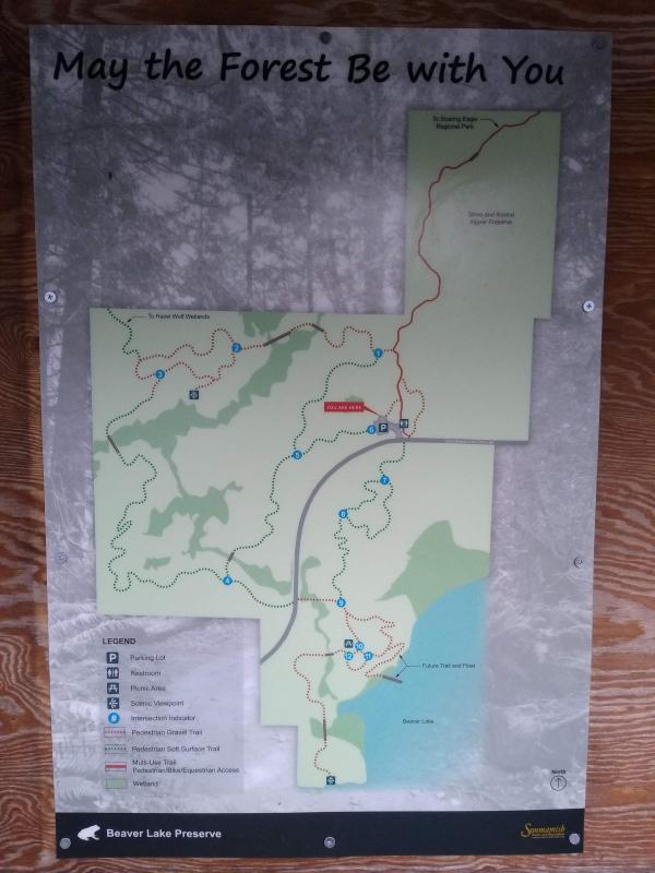 A map.