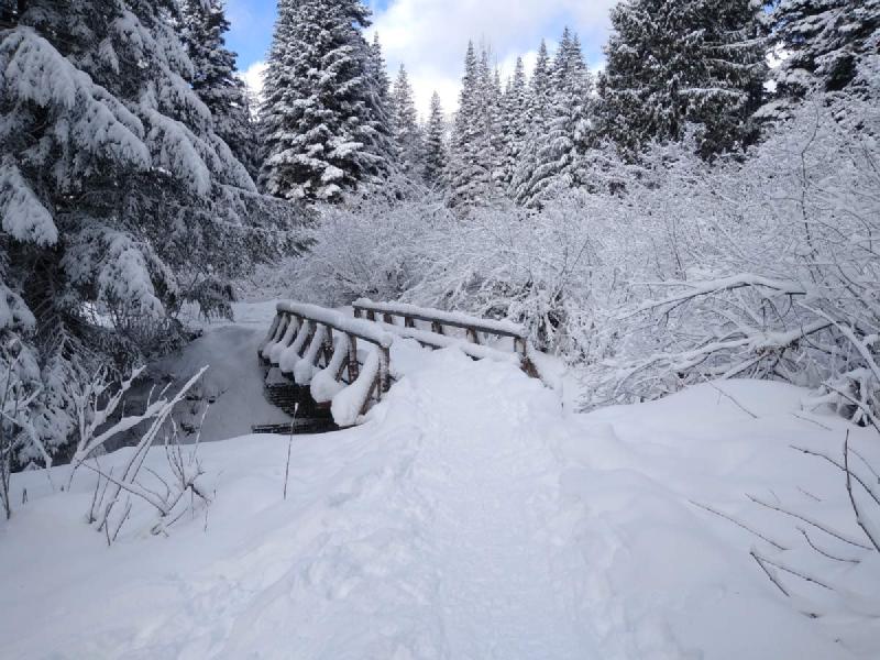 A small wooden bridge deep in snow.