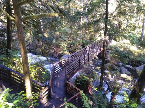 Bridge.