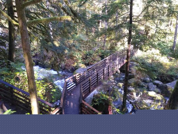 Bridge.
