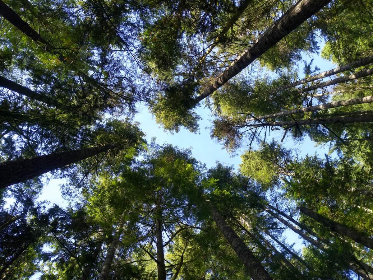 Up.