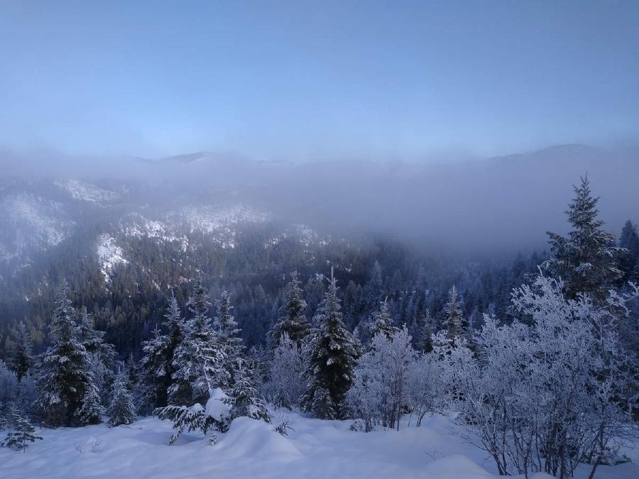 A partial view through the mist across a snowy valley.
