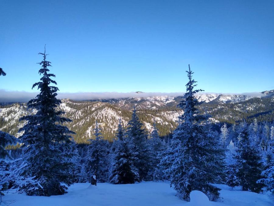 A fairly clear view across a snow covered valley, with snowy trees, and a thin line of dense cloud in the distance.