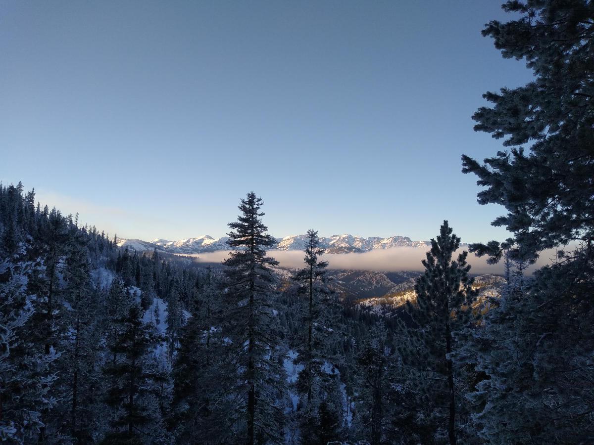 A clear view of snow capped mountains in the distance, looking down a valley with snowy fir trees.