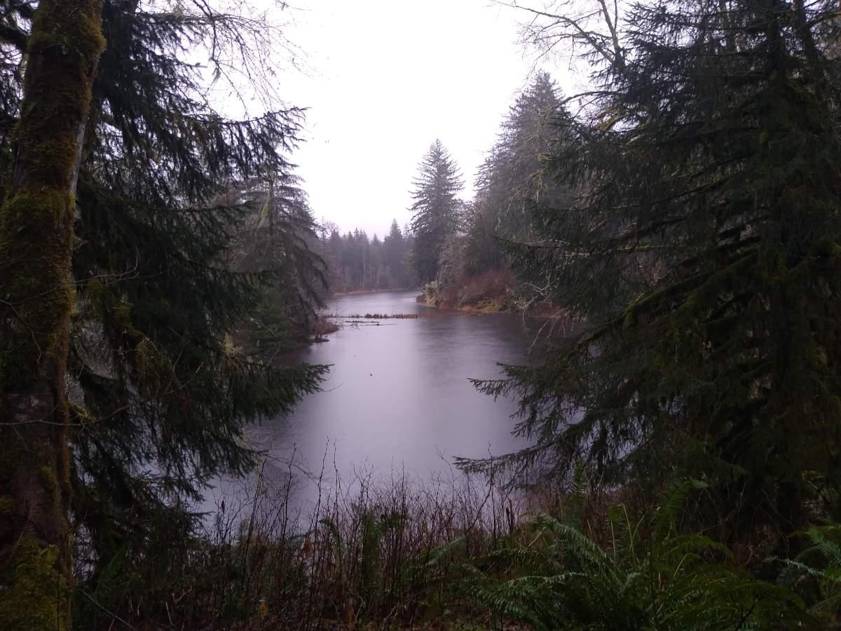 A sharp curve of ex-river with forest on the banks.