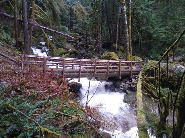 A log bridge.