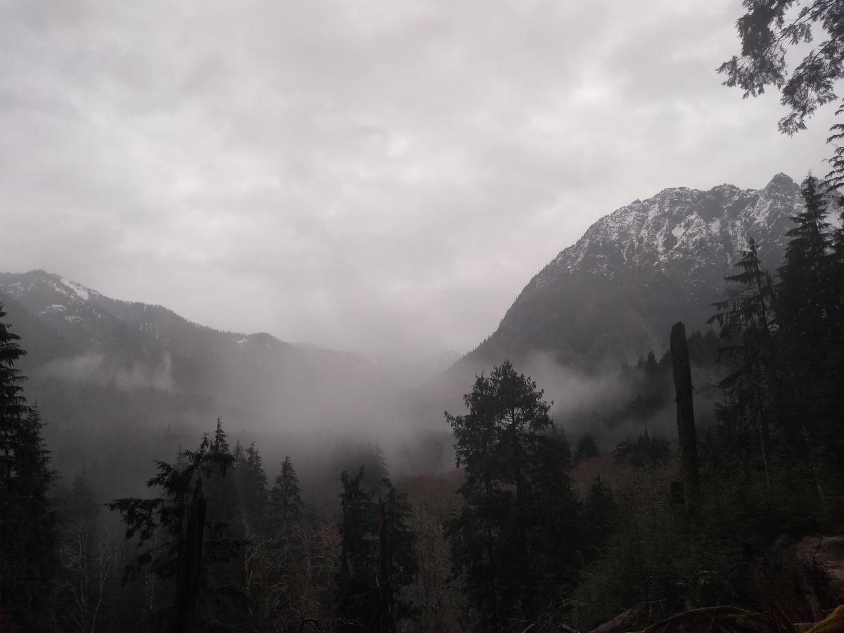 A heavily wooded valley with dense rain.