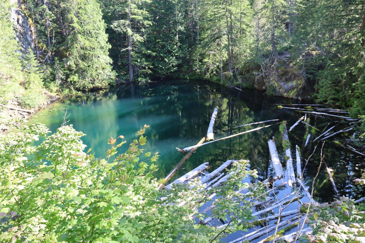 View looking down into Pyramid Lake, which is more of a pond than a lake, sitting inside a small shady crater, with turquoise water, and several dozen logs floating on one side.