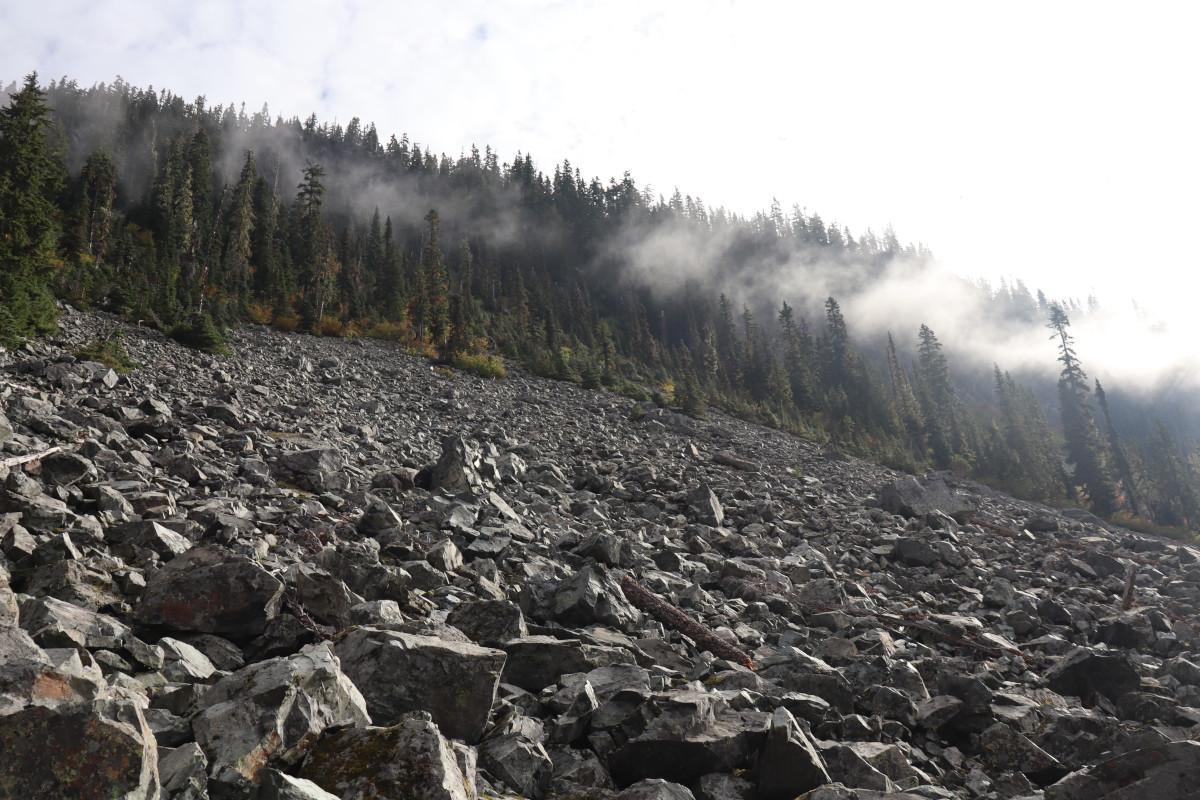 Looking up the steep field of scree from the trail.