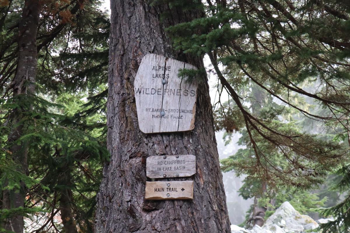 Old wooden sign on a fir tree that says 'Alpine Lakes Wilderness'.