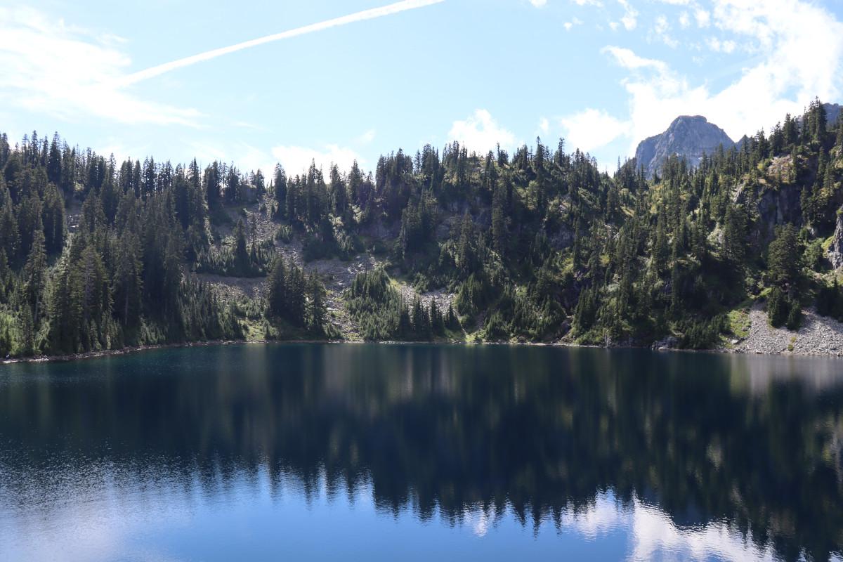 Tree reflections in the lake.