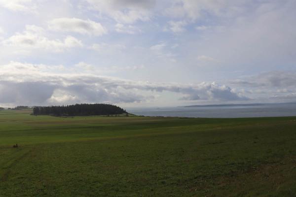 Gently rolling green hills on the walk at Ebey's Landing.