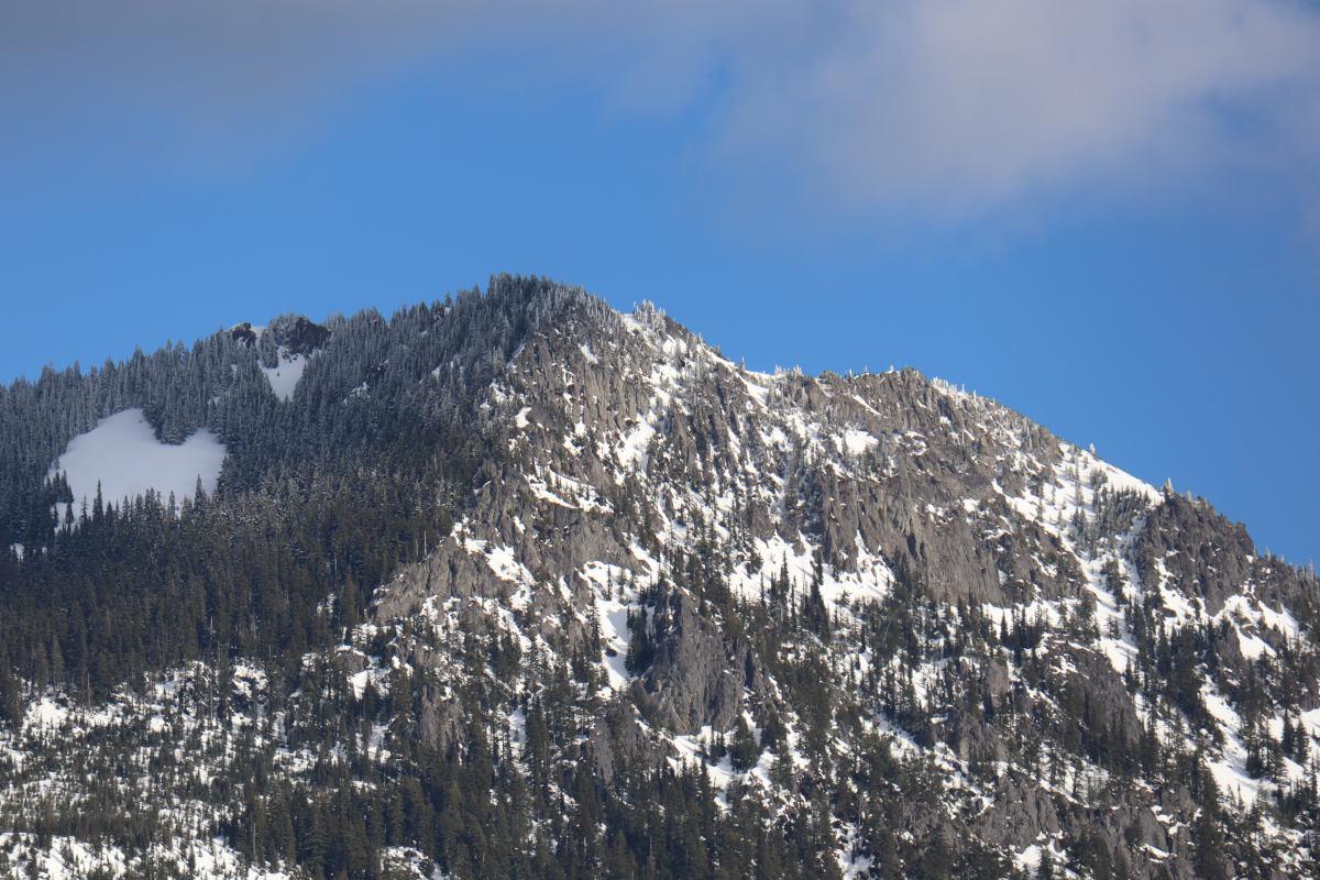 Looking up at rocky, snowy mountains dotted with trees.