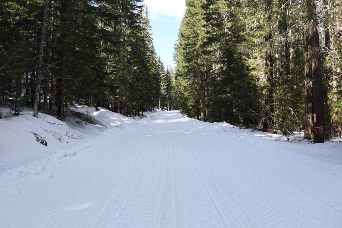 A wide, groomed, snow trail, with green trees on either side.