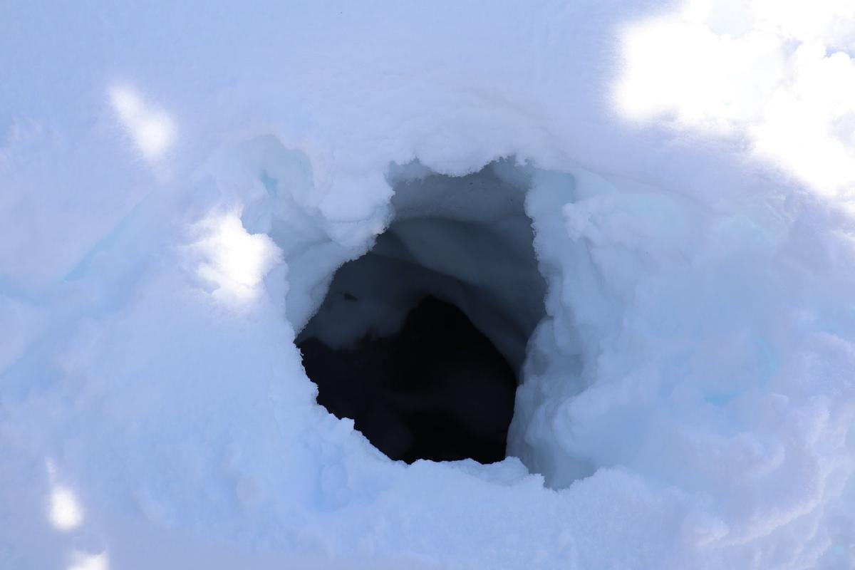 Beware of cavities around the rock garden. This hole was easily big enough to fit a person.