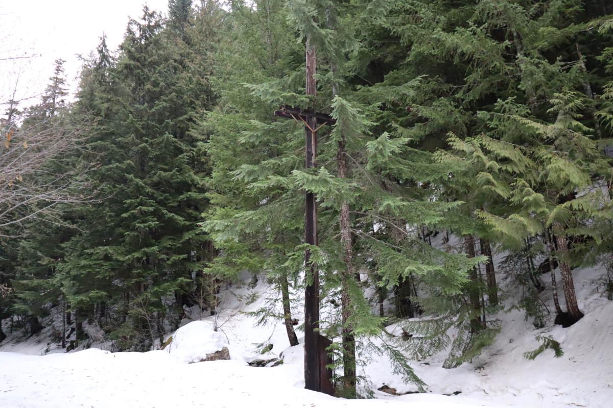 An old wooden pylon.