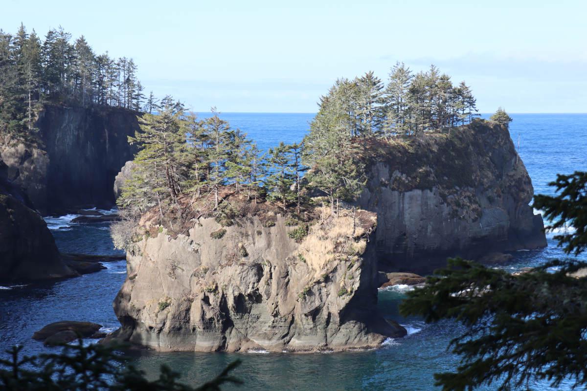 A sheer, rocky island with trees on top.