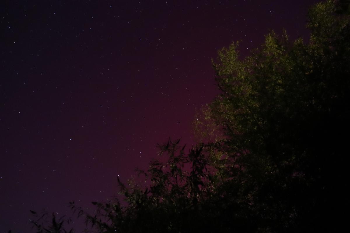 Photo of red aurora.