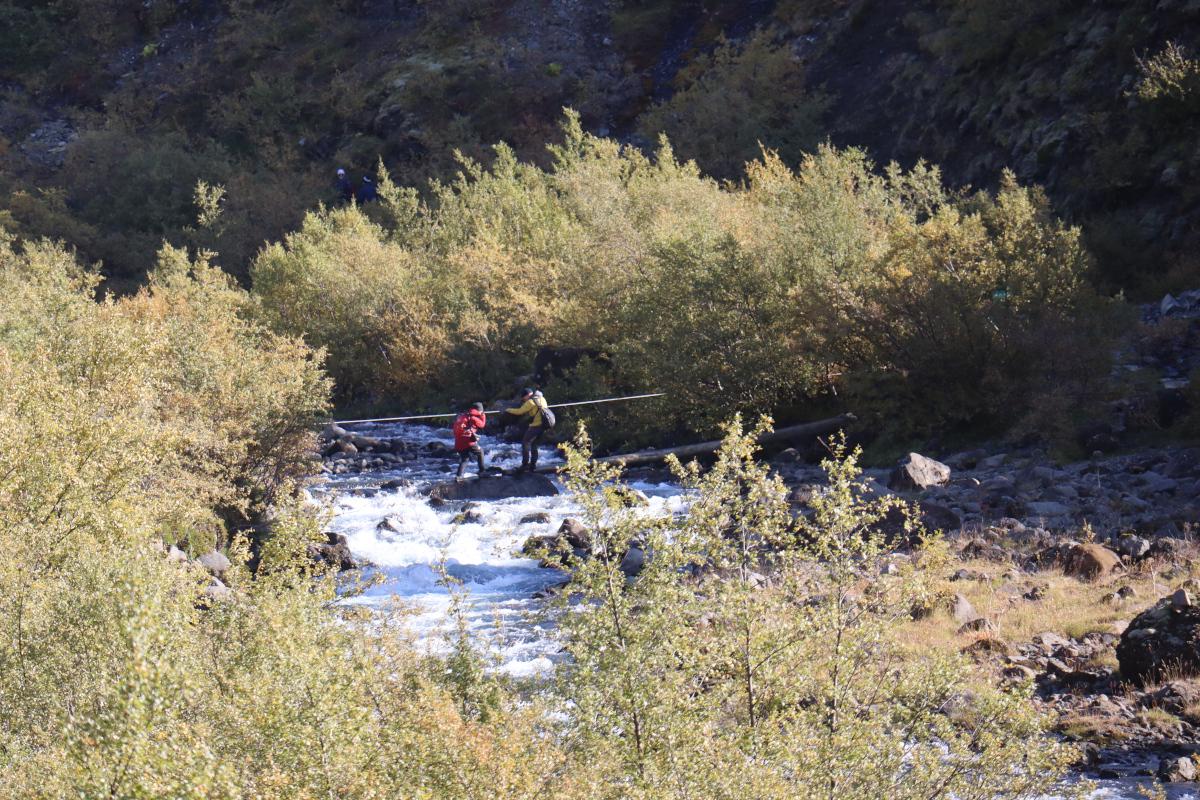 Photo of rushing river, visible in distance through trees, with two people on a large rock in the middle holding onto a cable.
