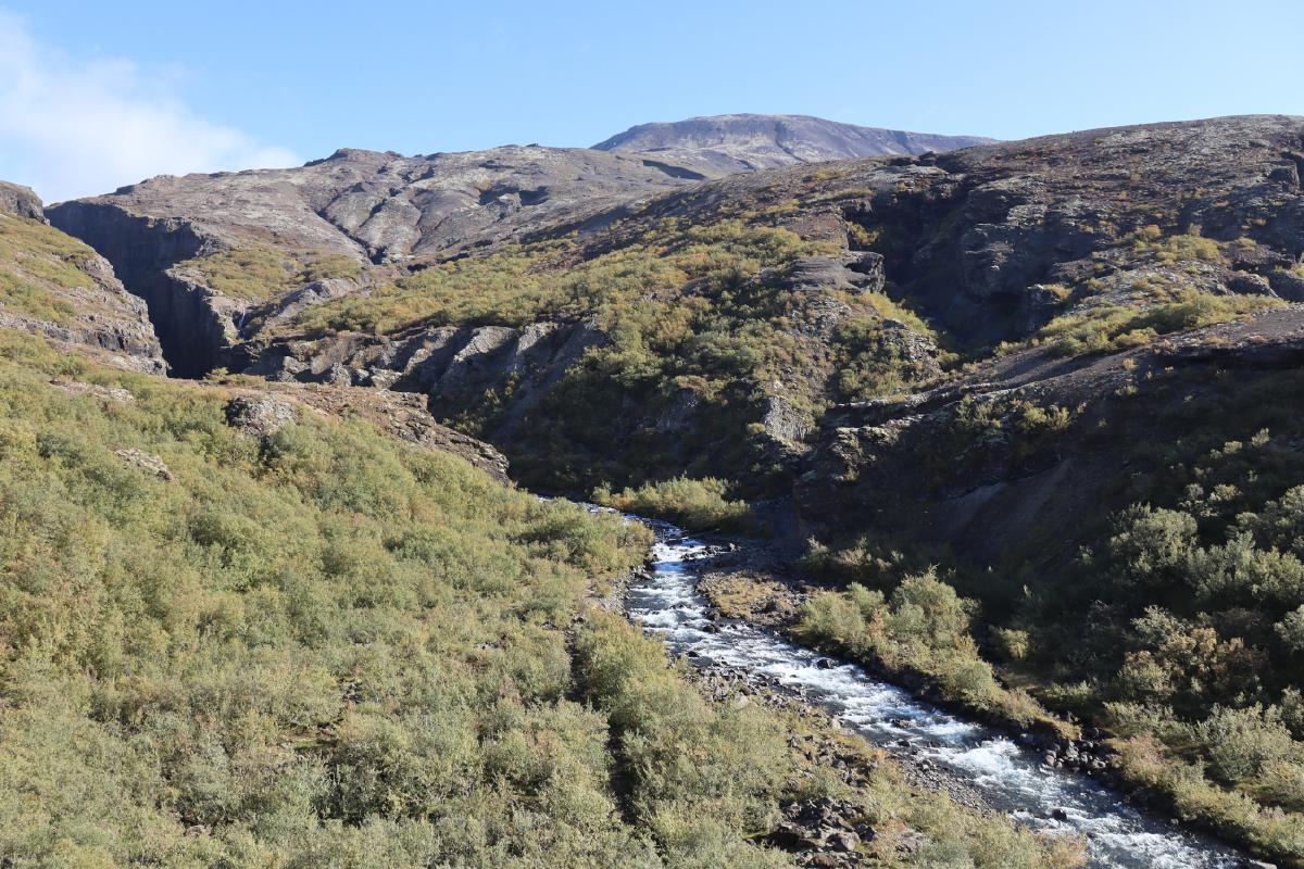 Photo of river emerging from canyon.