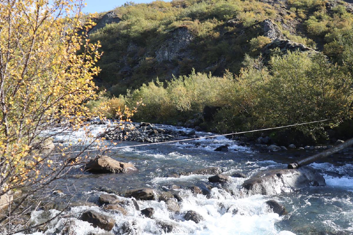 Photo of rushing river, with partially submerged stepping stones on the left, and a log spanning from a large rock part way across the river to the right side.