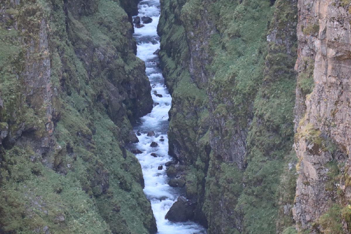 Photo looking down into a deep canyon, green on either side, with white water in the middle.