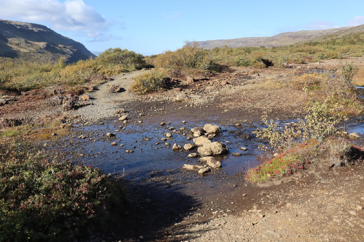 Photo of a shallow stream with easy stepping stones across.