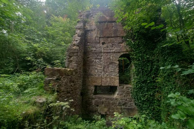 Ruins partially covered with ivy.