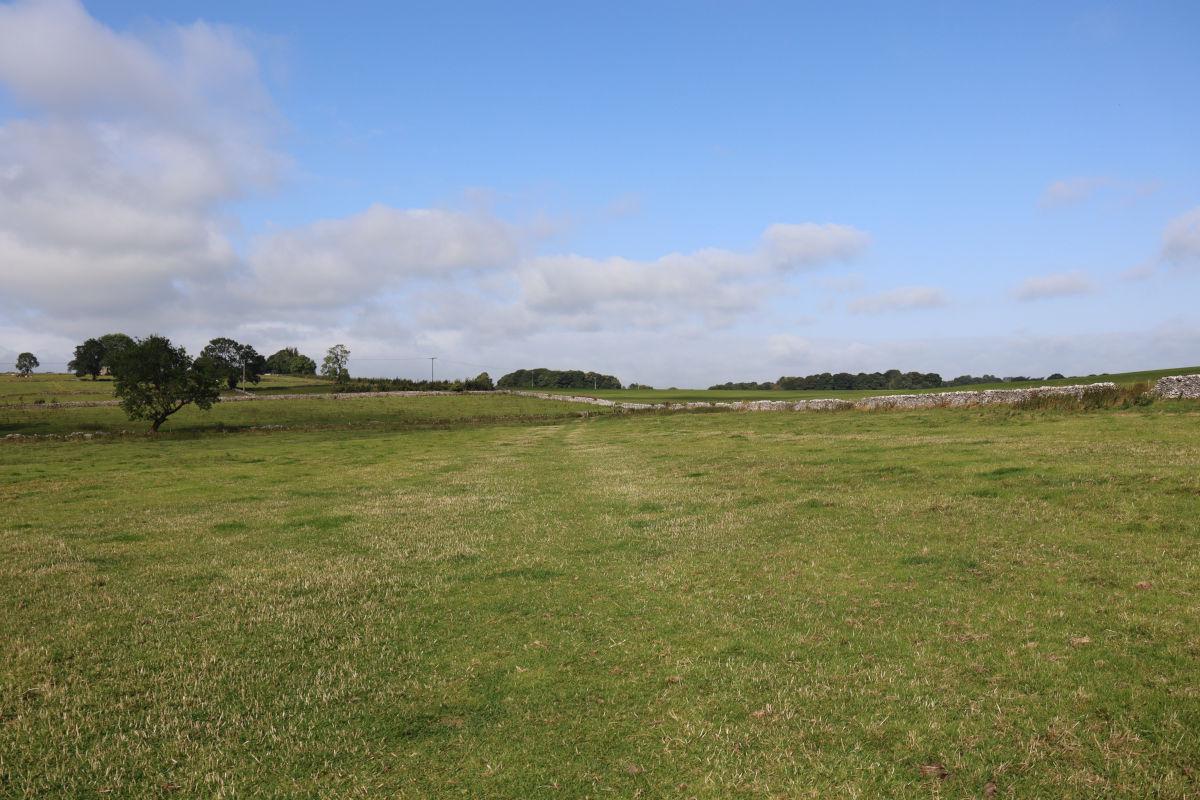 A faint grassy path through a field.
