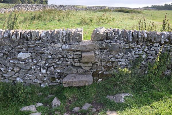 Steps over a stone wall.