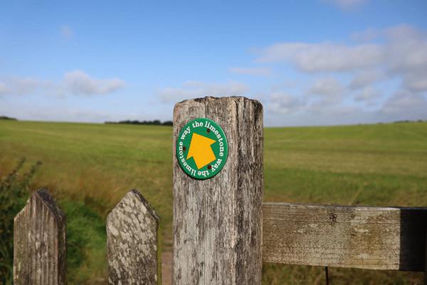 An arrow pointing the way.