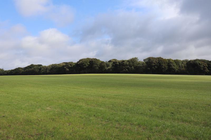 A calm view across a green field.