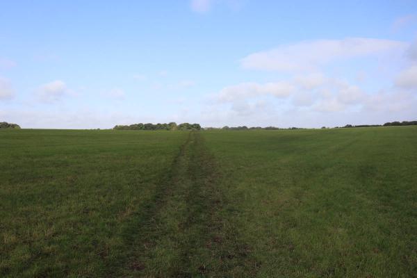 Another faint grass path through a field.