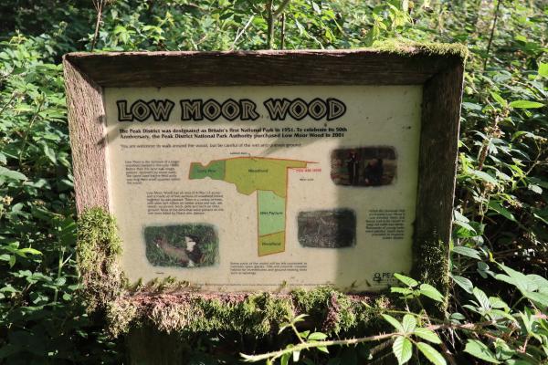 The *Low Moor Wood* information sign.