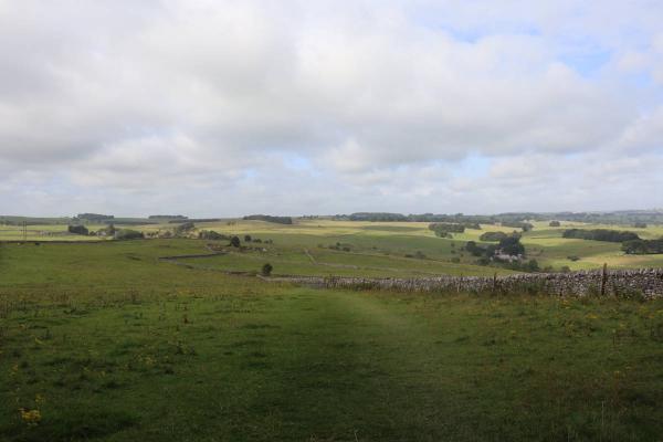 Looking out across a green field with an old stone wall.