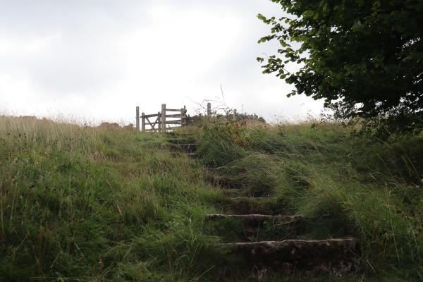 Steps leading up to a gate.