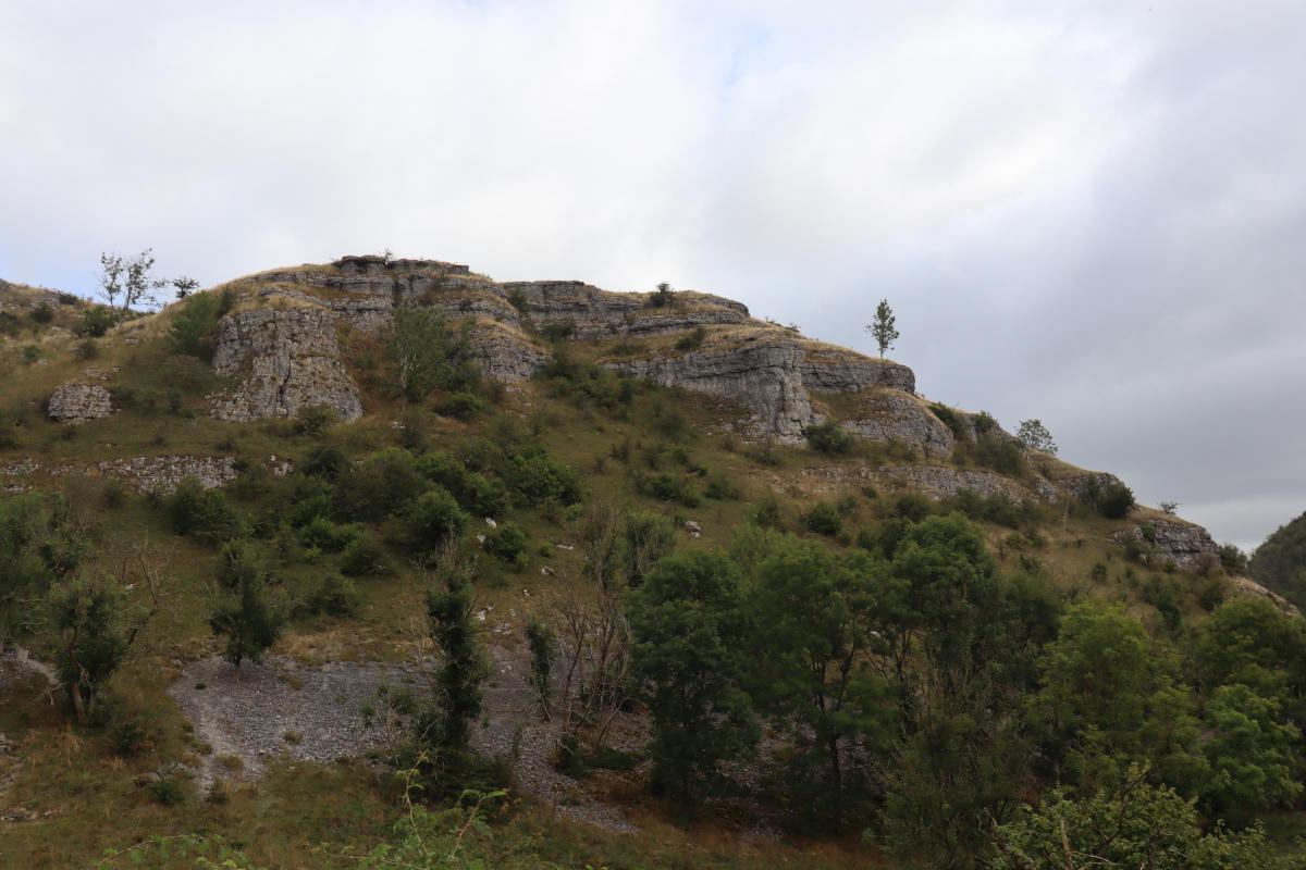 A view up towards a steep valley wall, with scree and bushes.