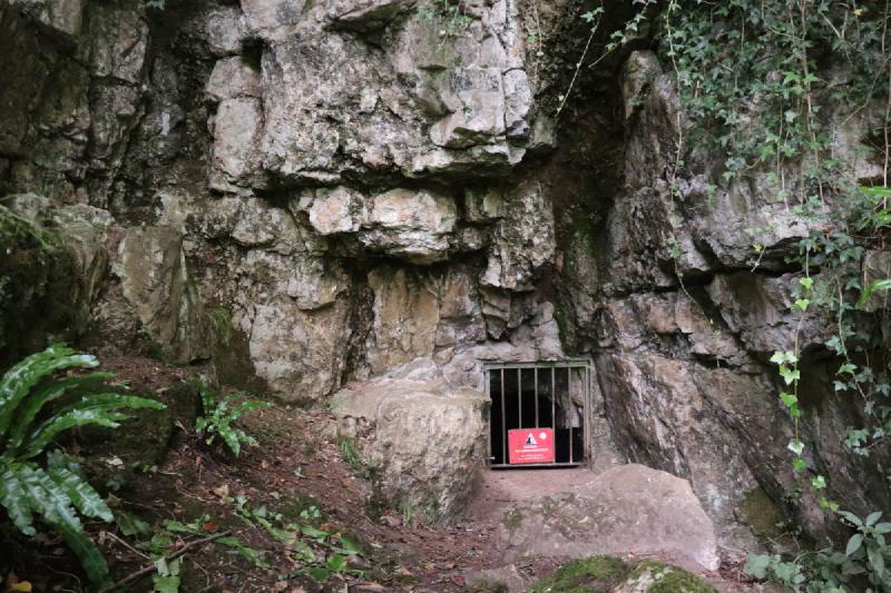 A rock face with a small, caged off entrance at the bottom.