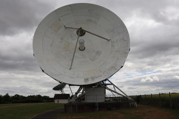 A photo of the clean dish.