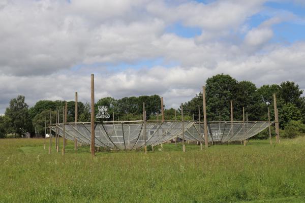 Three dish shaped mesh receivers in a triangle formation on a grassy field.