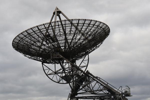 A big dish.