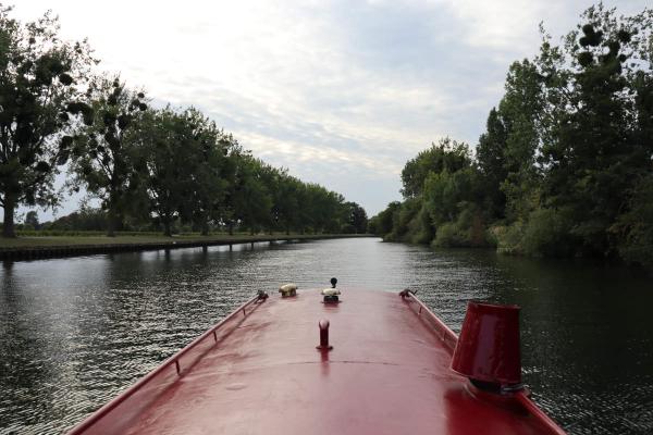 Canal with neatly lined trees on the side.