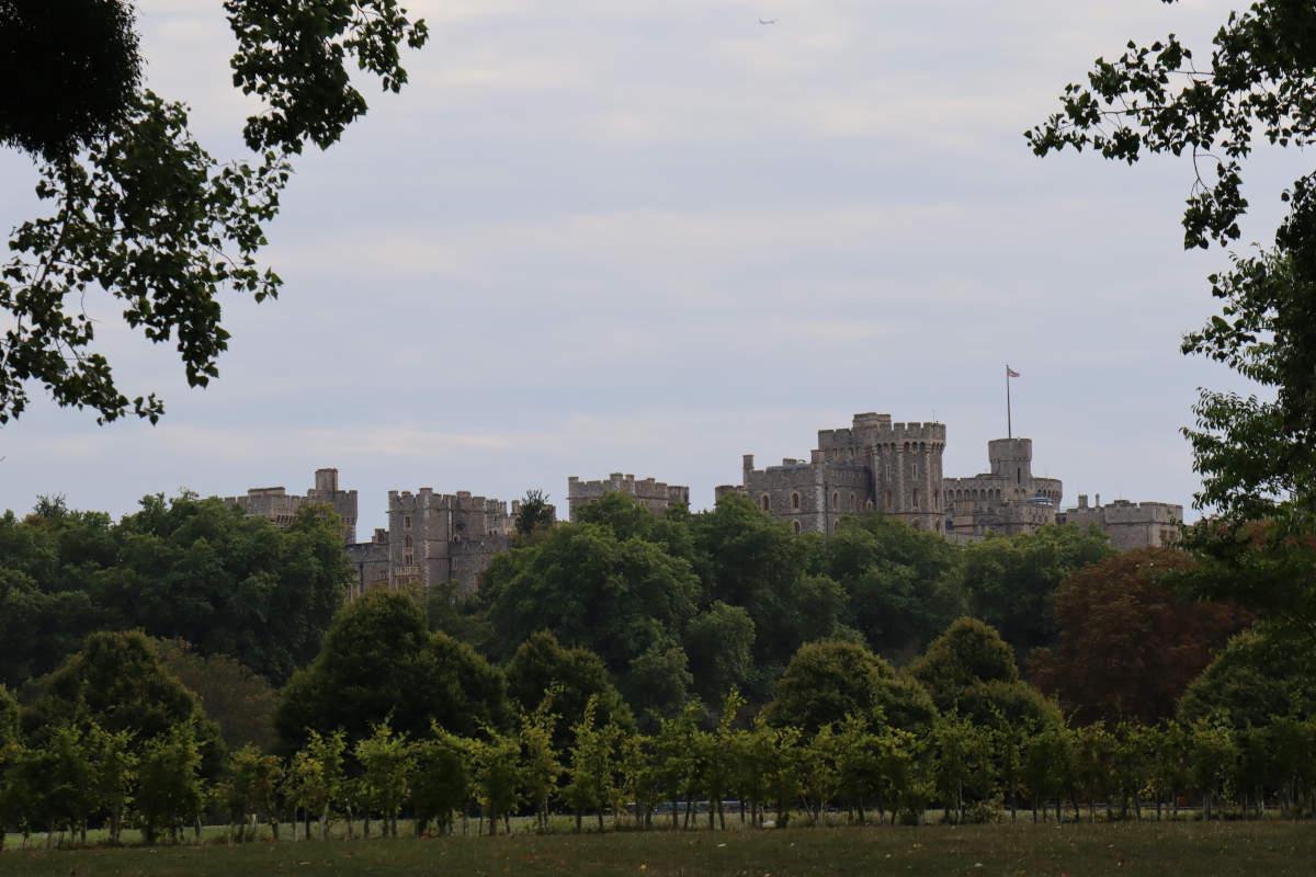 Windsor Castle through the trees.