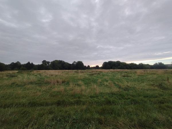 A field.