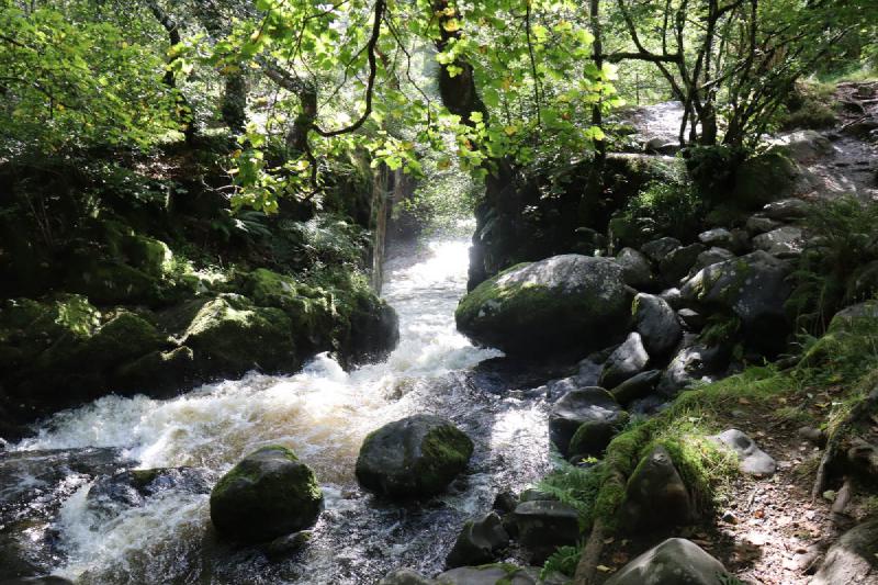 White water in a channel of rock.