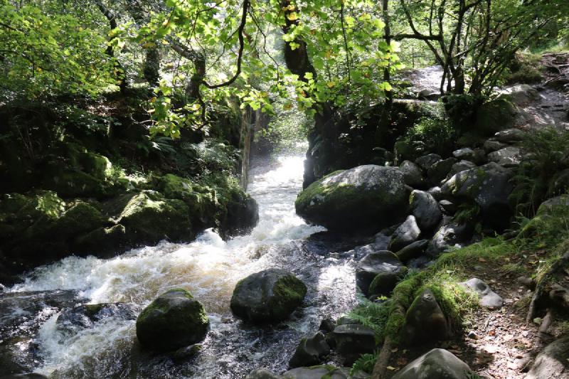 White water in a channel of rock.