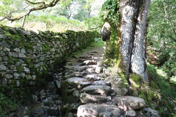 Stone steps.