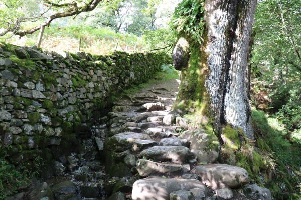 Stone steps.