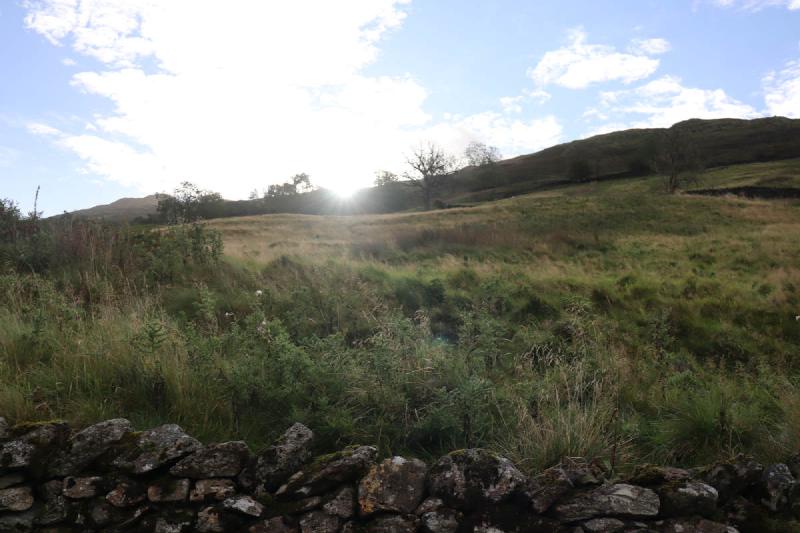 Looking up the hill with a glare of sun at the top.