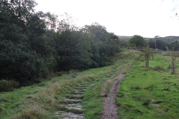 Stone steps leading up the hillside.